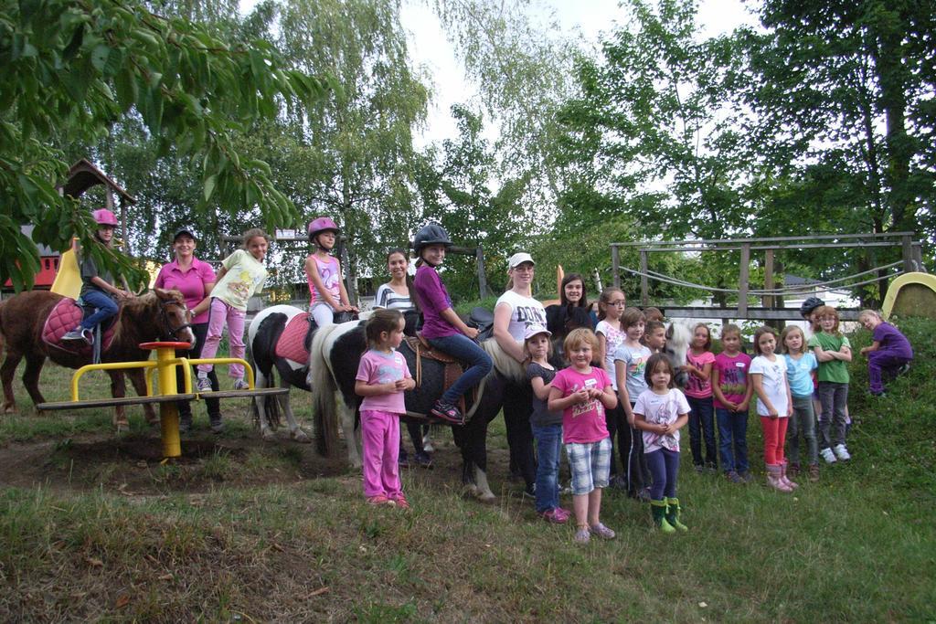 Pension & Reitstall Inghofer Heidenreichstein Kültér fotó